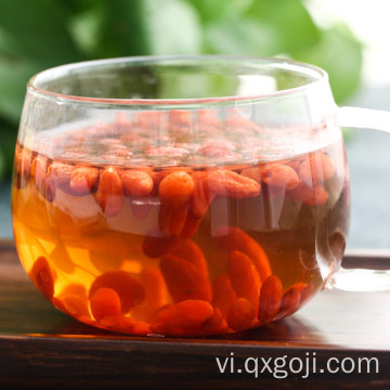 Quả hạch goji hữu cơ đỏ hàng đầu cho sức khoẻ